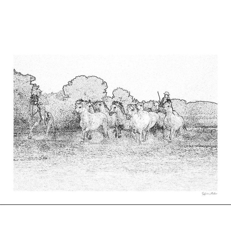 Art graphique - Papier fine art collé sur Dibond (Chevaux dans les marais)