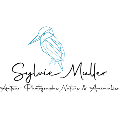 Logo Sylvie Muller